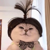 纾墨