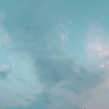 离相喜欢吃香菜