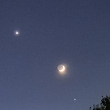 琪琪东