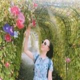 小豆苗