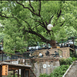 柘人野
