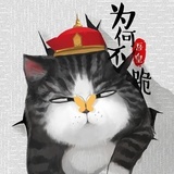 Mr.猫老师