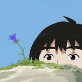 加菲