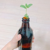 中年少女🥳