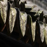 恒河沙