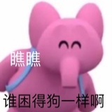豆豆老师