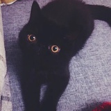 無常
