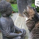 豆阅用户1074348799