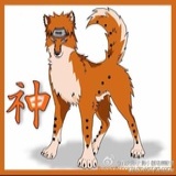 九眼冥王