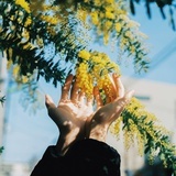 如梦幻泡影abcd