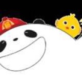 王月月鸟