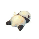 煎饼老子