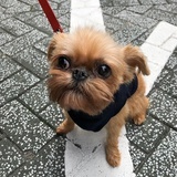 火火丘