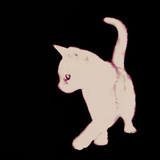 NaCl