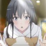 萌书猫