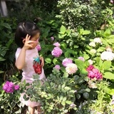 grace