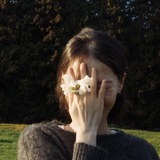 没有猫但有猫饼