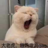 云上城桥