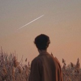 藏