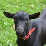 乘风破浪大框子