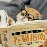 碎十三