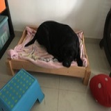 jasmine0819