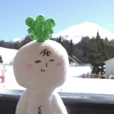 因为天气刚刚好