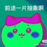 Si