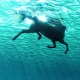 鸡蛋我要五成熟