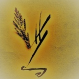 简慢人生