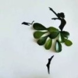 芋圆~