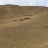 不必跳舞的莉莉安