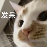 早睡中