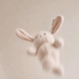 西橙橙