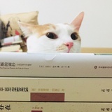 童想