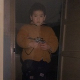 土拨鼠投掷鼬鼠