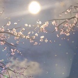 呼噜噜