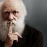 C.R.Darwin