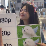 一闪一闪杰星