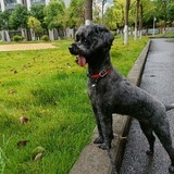 努力就会有结果