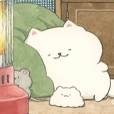 刊刊catcy