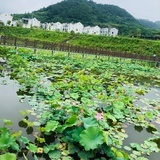 暮色
