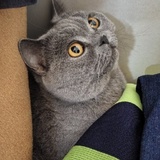 李清钰