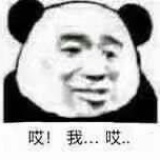 肥肥飞