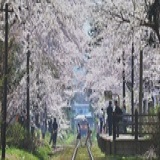 小郭嘉