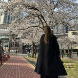 小猫挠沙发🛋️