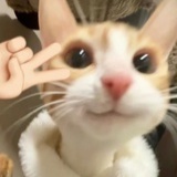 十三月