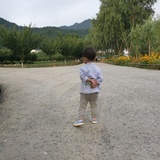 蓝