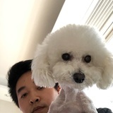 小灰飞