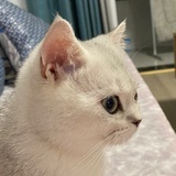 汤圆儿妈妈👩🏻